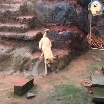 No matter what, I will always wait for you 🥰