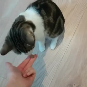 Hatte vorher Mandarine gepellt, weshalb er es erst nicht wollte 😂😏