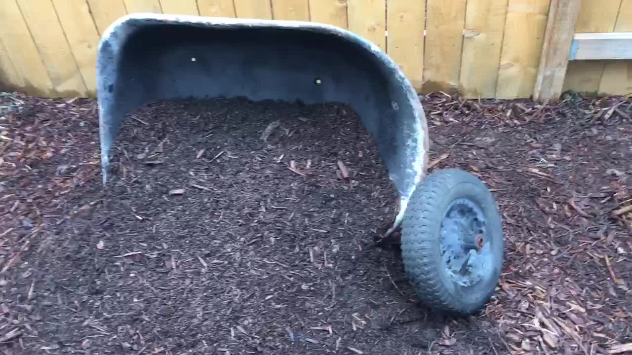 Wheel barrel flower bed