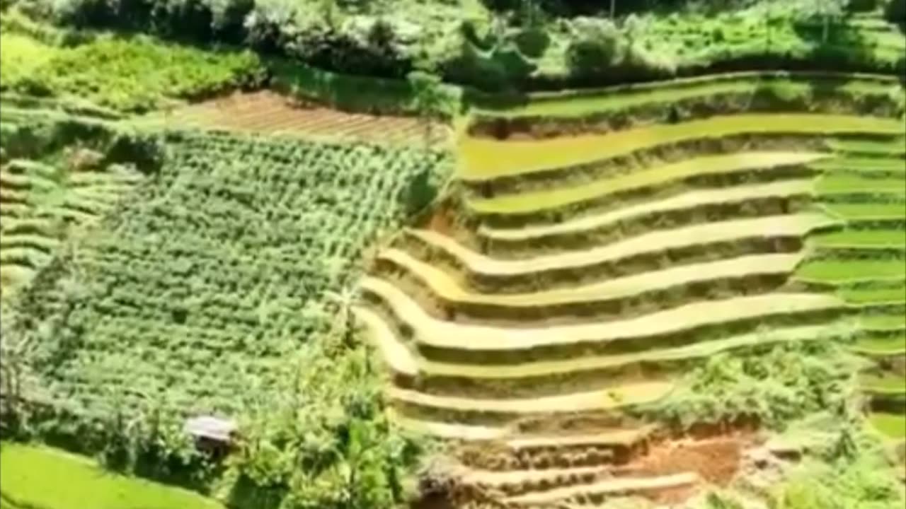 NATURAL BEAUTY. RAIN FALLING IN A BEAUTIFUL NATURAL VILLAGE VILLAGE, WEST JAVA RURAL ATMOSPHERE