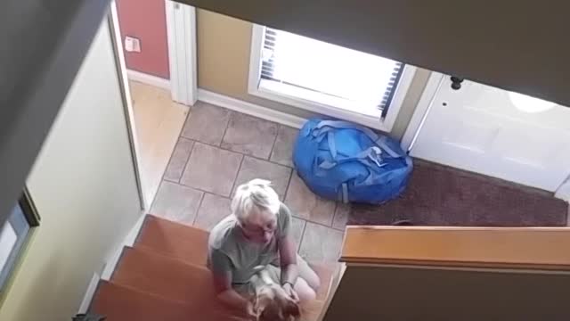 Dogs reaction when mom comes home from vacation