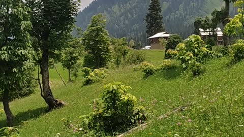 Beautiful Kashmir.