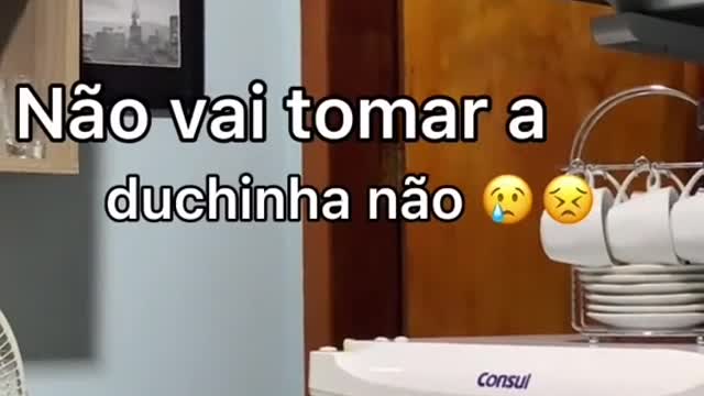 Gravei meu irmão falando com a gata de estimação Kkkkkkkk
