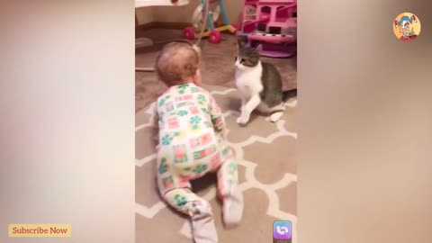 Funny Cat Play With Baby