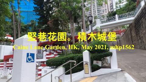 親子好去處。堅巷花園。積木城堡 Caine Lane Garden, mhp1562, May 2021