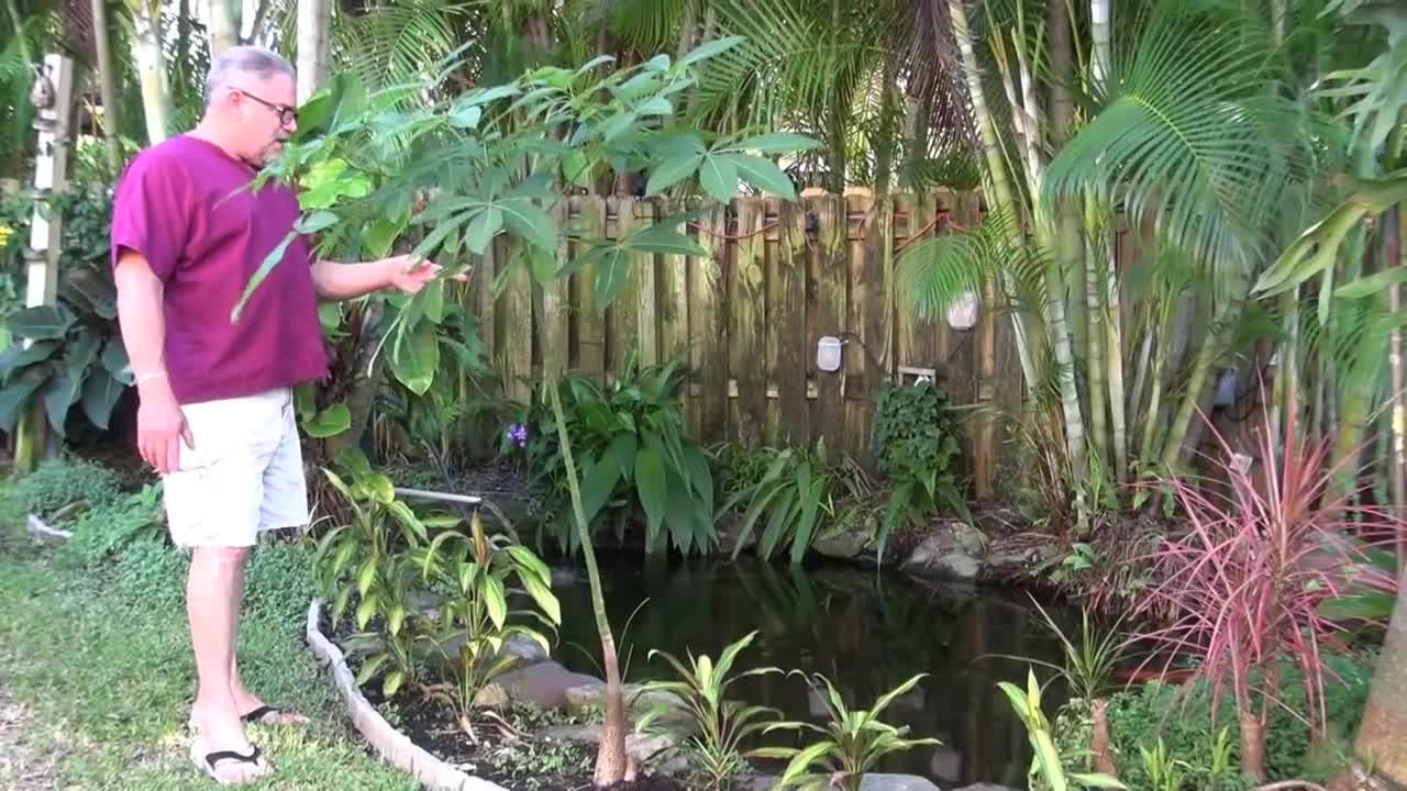 Backyard Freshwater Pond Tour