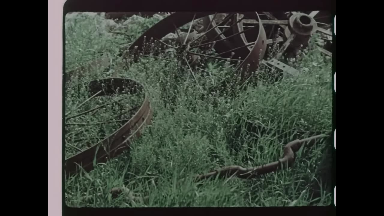 German Raw Color Footage from the Eastern Front in Ukraine Southern Russia- June to September 1942