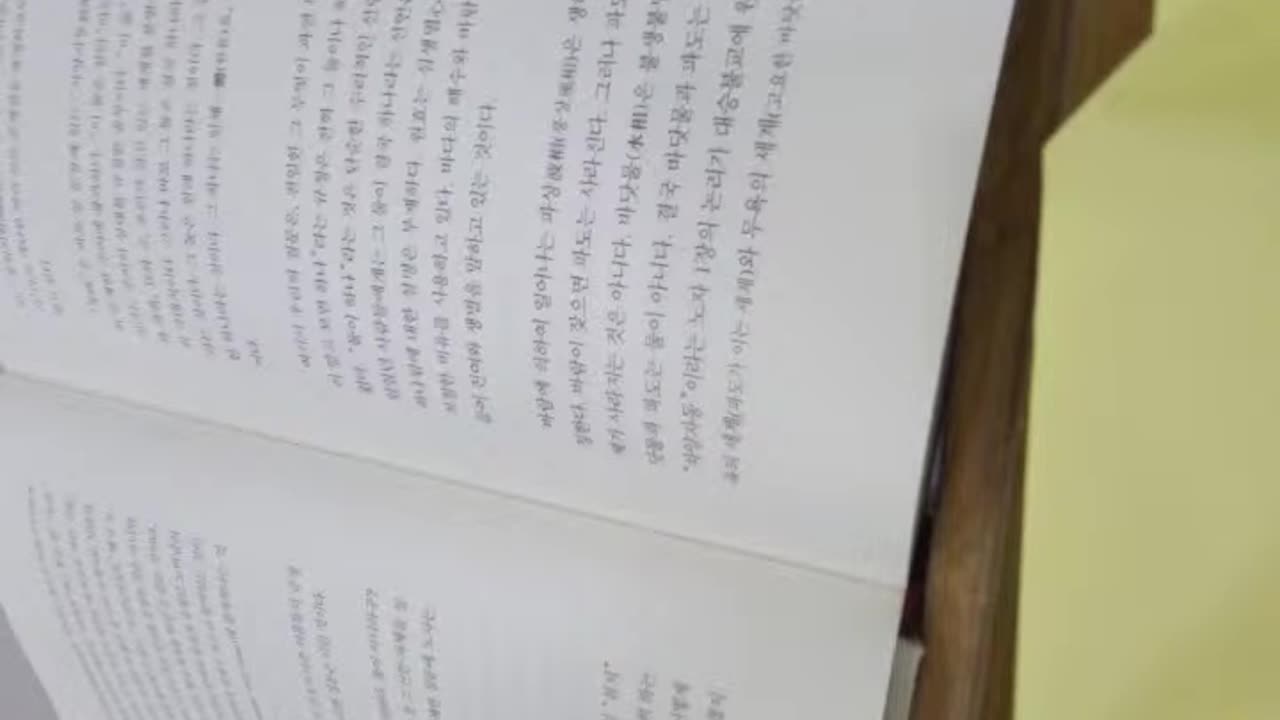 노자가옳았다,도올김용옥,현상,본체,도덕경,마야,차양자동,존재망실,도가도비상도,언어부정,신비주의, 근세철학,테제,노미나,원효,생심멸,불생불멸,진공묘유,반야경전,급사중,천지현황