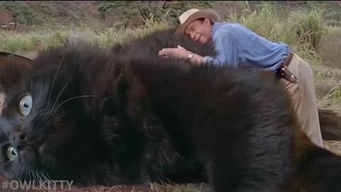 CATRASSIC PARK THE TRUE MOVIE