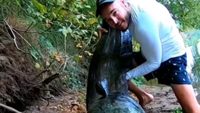 Bigest Catfish Ever