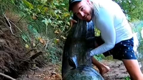 Bigest Catfish Ever