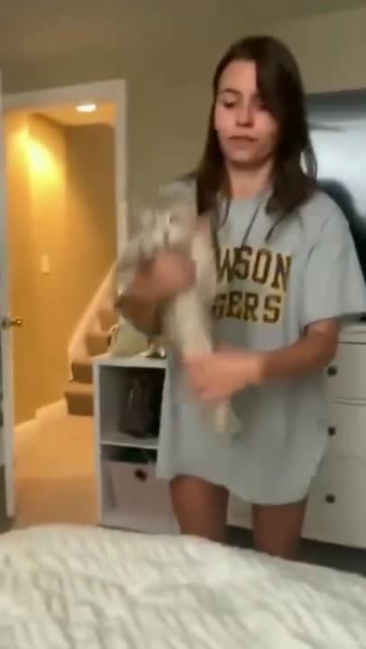 ps😹_ #funny Cute Cats #shorts Video😂_ #trending #animals #reels