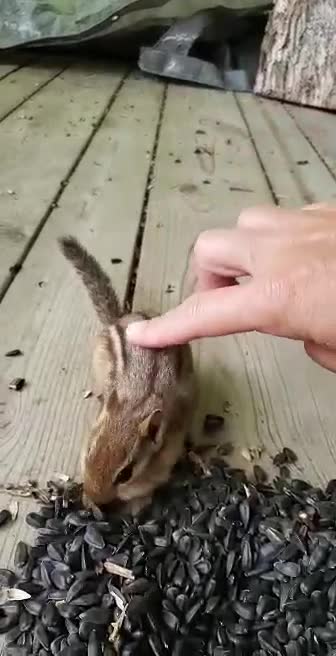 Petting my little friend