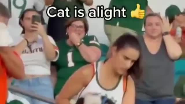 Miami hurricane supporters save cat by catching it on the stars and stripes last night! 🇺🇲🙏🏻