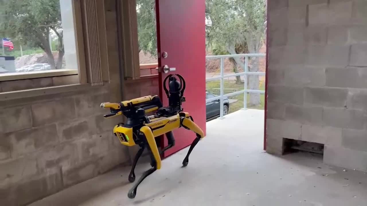 Policía de Florida presenta a su nuevo refuerzo, un perro robot