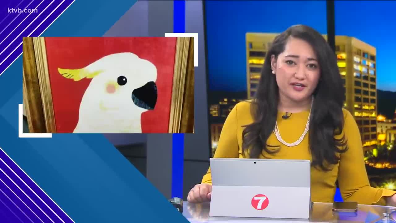 Idaho's 'Sweet Pea' parrot goes viral on TikTok after meeting puppy