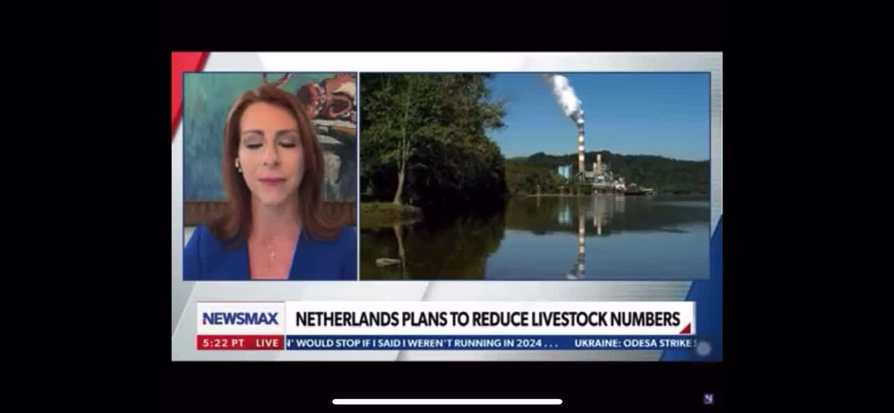 Dairy farmers in Netherlands told to shutdown to 5% milk production