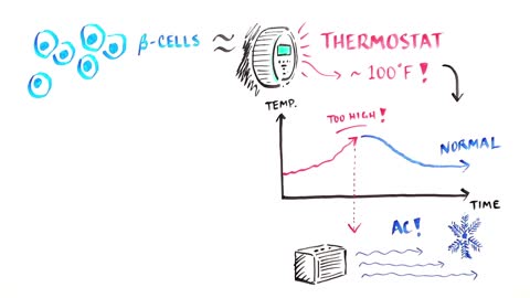 How To Reverse Diabetes ii Pathophysiology ii