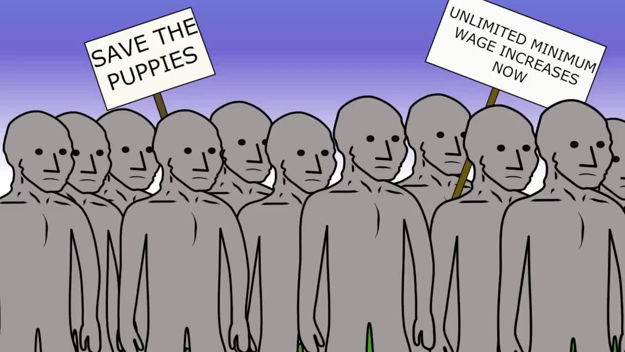 NPC UNIVERSITY #19