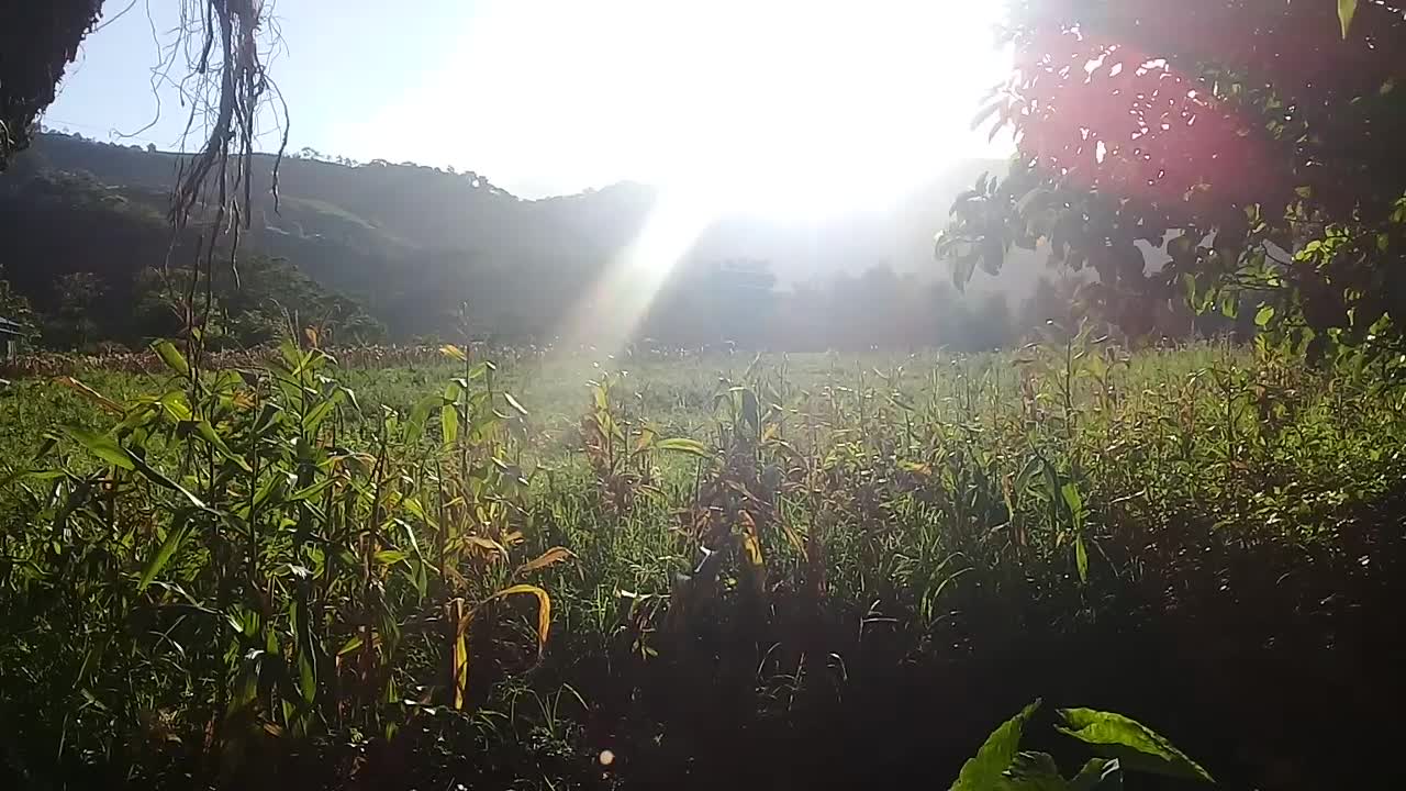 Beautiful sunrise in bukidnon