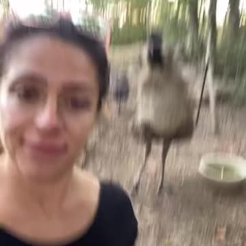 easy peasy lemon squeezy 🥲