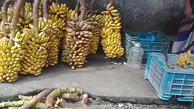 Amazing banana