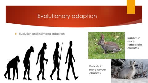 The 7 Properties of Life | Biology Lecture