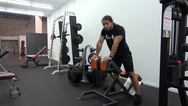 45 Degree Back Extension