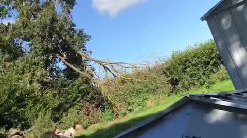 Attempting to Help Dad Stand Up a Fallen Over Shed