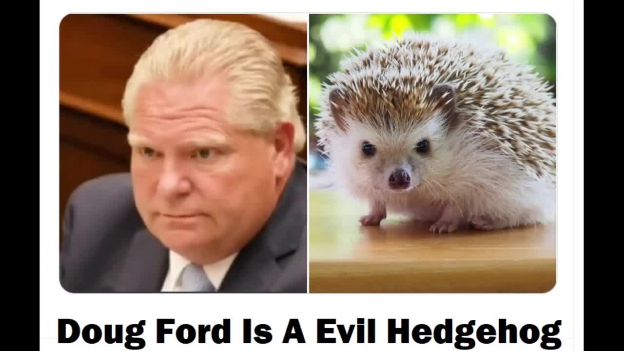 DOUG FORD IS AN EVIL HEDGEHOG