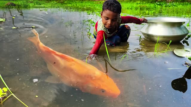 Amazing Hand Fishing Video |