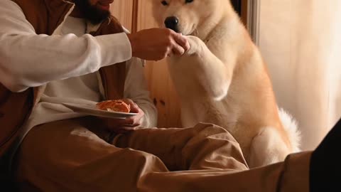 Man Sitting on the Floor Training a Dog