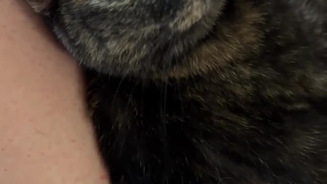 "Gremlin wants to speak to the manager 😤"