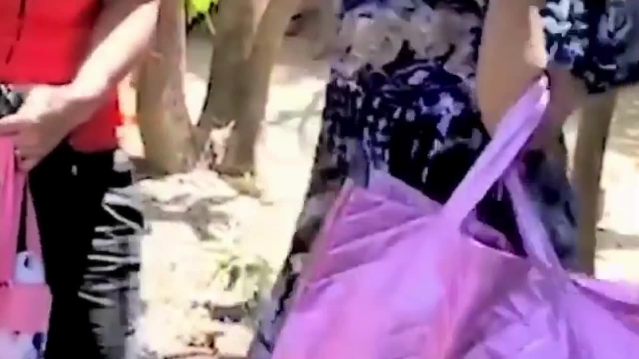 The end 😂😂😂 #viral #shorts #reels #fails #funny #fail