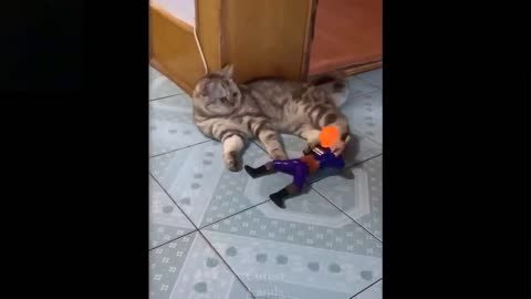 Cute And Funny Pets .Pets funny Compilation