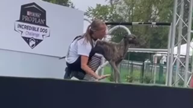 2021 purina dog challenge