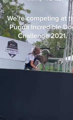 2021 purina dog challenge