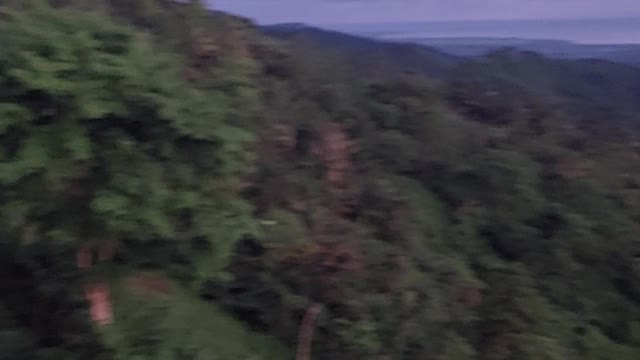 Love nature