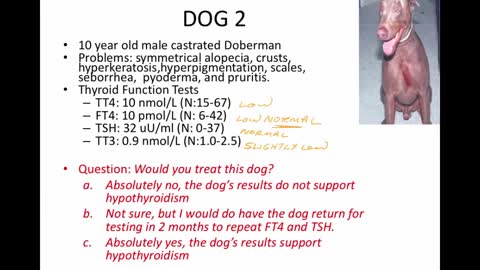 Thyroid Cases in Dogs and Cats