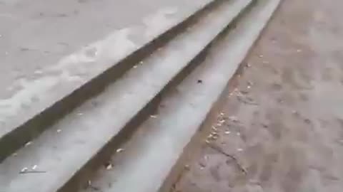 På stan. Första gången jag såg kvinnan på bänken. Helsingborg 26 Mars 2018