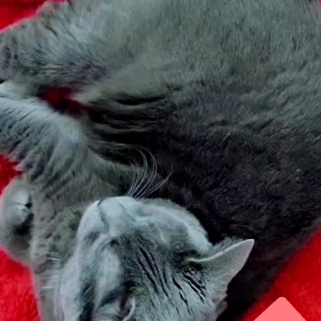 Merry Christmas 🎅 2020