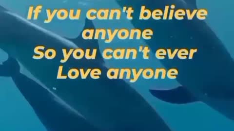 Believe in love motivation video