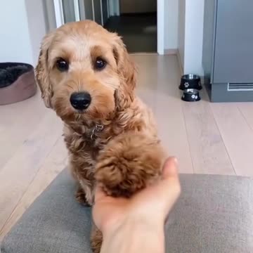 Put your hand in front of your child and see what they do🥺💗