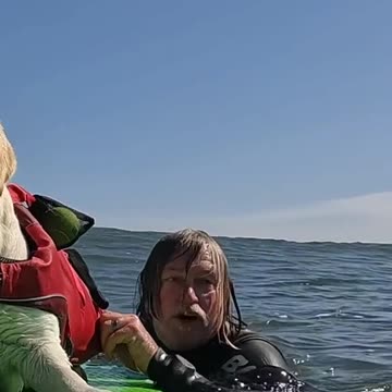 Quelqu'un aime le surf