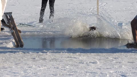 Polar bear swim.