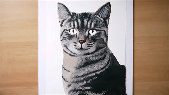 How to Paint a Realistic Cat