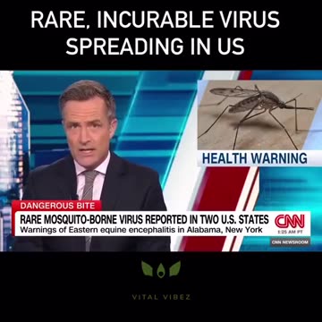 🚨🇺🇸 Deadly Mosquitoes