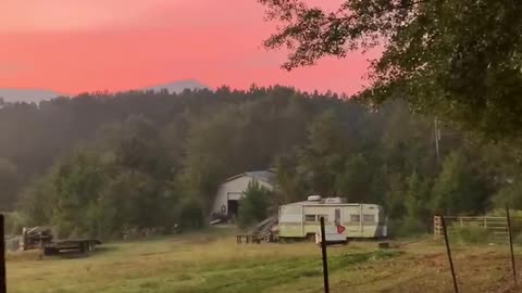 Gorgeous Alabama sunrise and horses.