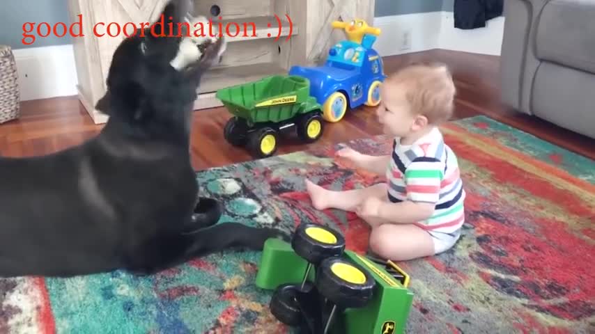 Dog and cute baby playing