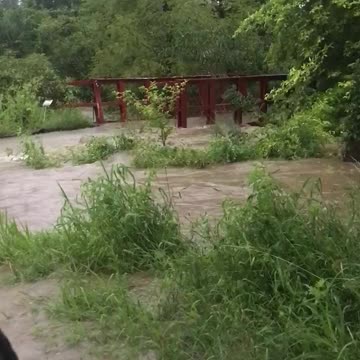 Our bridge underwater at Highland Hill Farm near Philadelphia. A tree farm